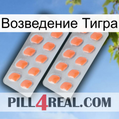 Возведение Тигра 27